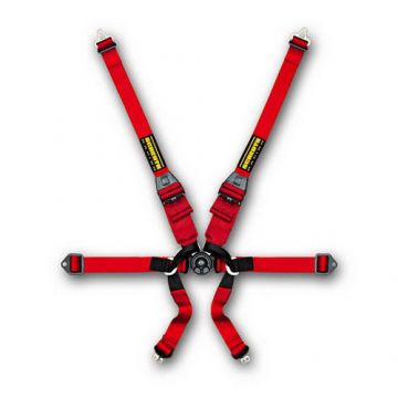 Schroth Harnesses - Profi II-6FH 6 Point FIA harness belt Schroth Harnesses - Profi II-6FH 6 Point FIA harness belt