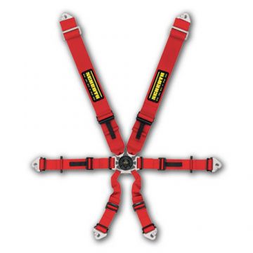 Schroth Harnesses - Profi II-6 SlipStop 6 Point FIA harness belt Schroth Harnesses - Profi II-6 SlipStop 6 Point FIA harness belt