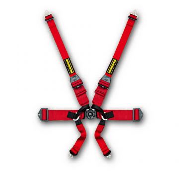 Schroth Harnesses - Profi III-6FH 6 Point FIA harness belt Schroth Harnesses - Profi III-6FH 6 Point FIA harness belt