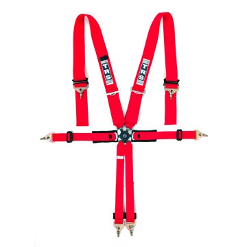 TRS - New Pro Westfield 4 Point FIA Harness Belt