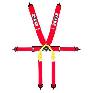 TRS - New Pro Single Seater FIA Harness Belt TRS - New Pro Single Seater FIA Harness Belt