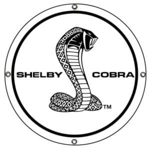 Cobra Sport Seats