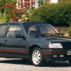 Peugeot 309 Roll Cages