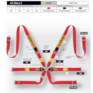 Sabelt Silver Endurance 6 Point Harness