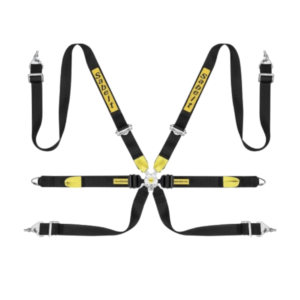 Sabelt Silver Endurance 6 Point Harness