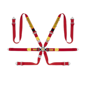 Sabelt Silver LPM 6 Point Harness