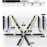 Sabelt Silver Enduro 997 911 GT3 6 Point Harness