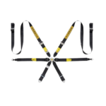 Sabelt Silver Enduro 997 911 GT3 6 Point Harness