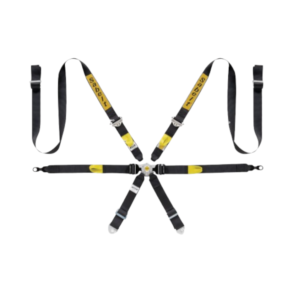 Sabelt Silver Enduro 997 911 GT3 6 Point Harness