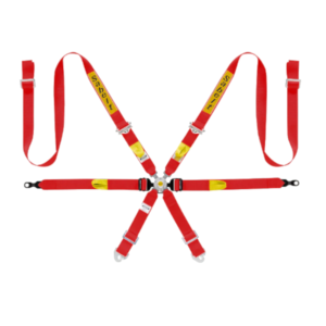 Sabelt Silver Enduro 997 911 GT3 6 Point Harness