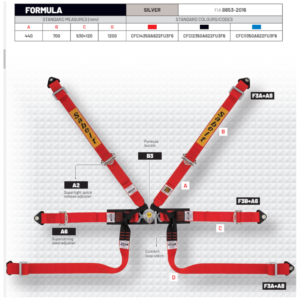 Sabelt Silver Formula 6 Point Harness