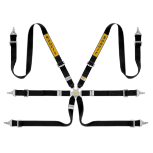 Sabelt Steel Race / Rally 2x2 6 Point Harness