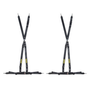 Schroth Rallye ASM 4 point harness belt – GSM Performance
