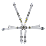 Schroth Flexi 2x2 Harness - 6 Point